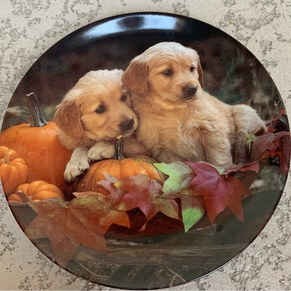 Collection plate - Picture 1 of 5